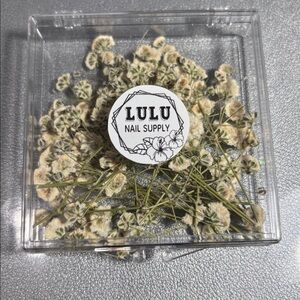Lulu Nail Supply Dried Flowers